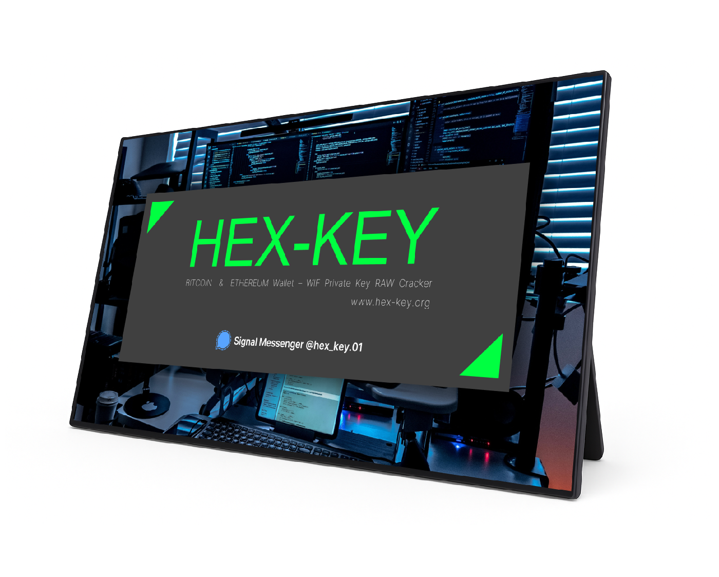 Professional Monitor